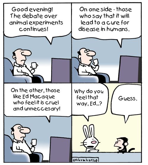 'Good evening! The debate over animal experiments continues...'