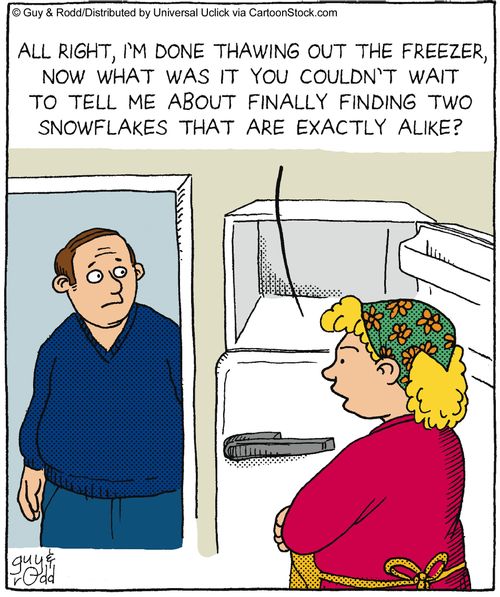 'All right, I'm done thawing out the freeze, now what was it you couldn't wait to tell me about finally finding two snowflakes that are exactly alike?'