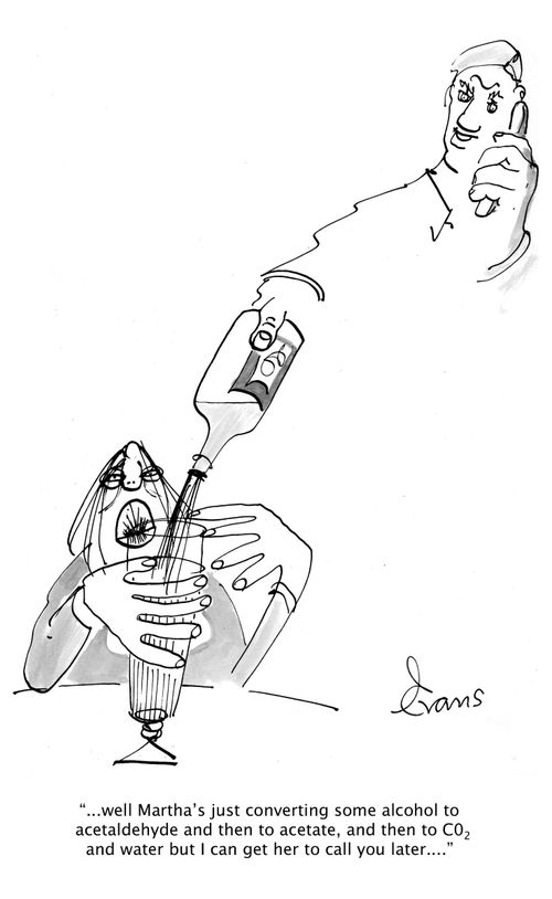 '...well Martha's just converting some alcohol to acetaldehyde and then to acetate, and then to CO2 and water but I can get her to call you later...'