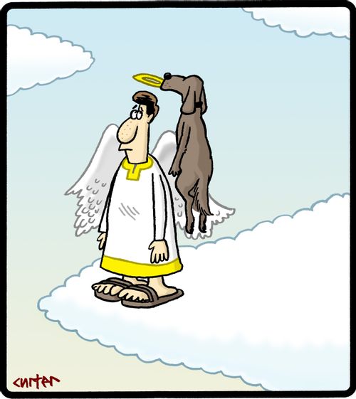 Angel with dog playing fetch attached.