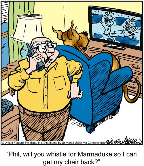 'Phil, will you whistle for Marmaduke so I can get my chair back?'