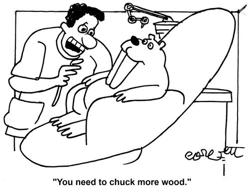 'You need to chuck more wood.'