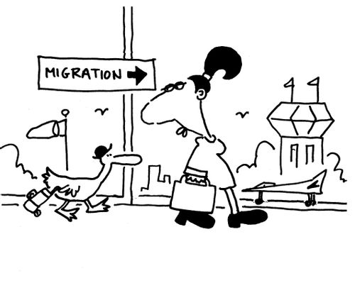 'Migration.'