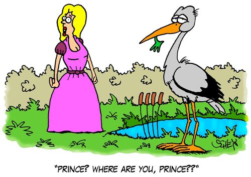 'Prince? Where are you, Prince??'