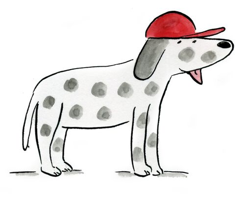Dalmatian in a red cap
