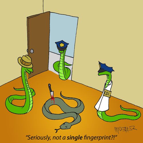 'Seriously, not a single fingerprint?!'