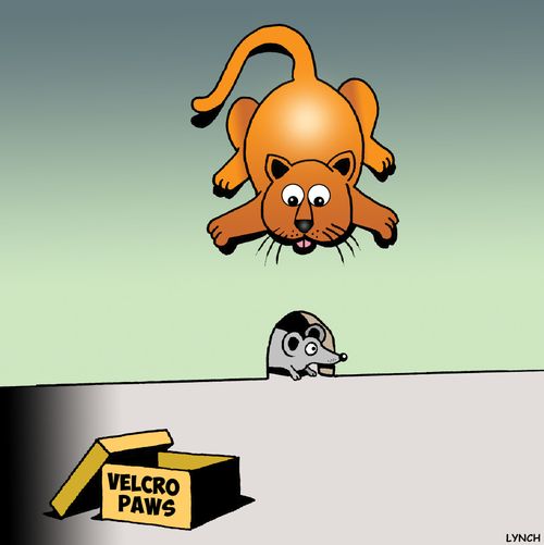 Velcro Paws.