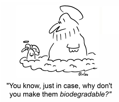'You know, just in case, why don't you make them biodegradable?'