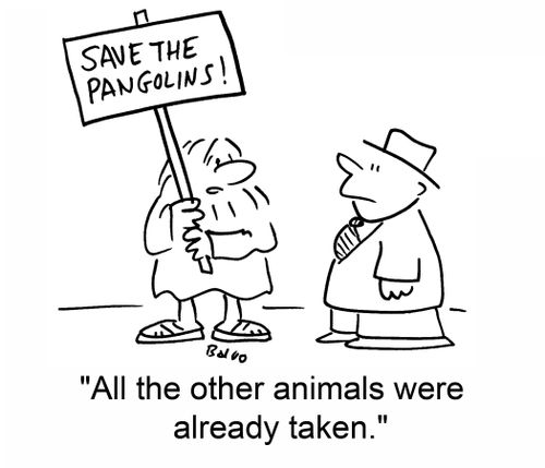Save the Pangolins! 'All the other animals were already taken.'