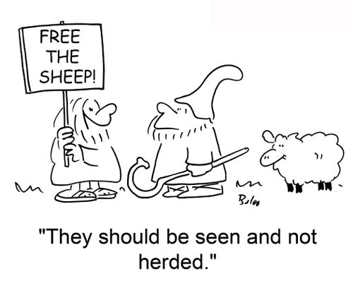 Free the sheep: 'They should be seen and not herded.' 