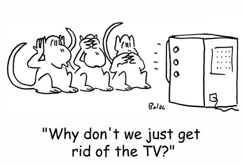 'Why don't we just get rid of the TV?'