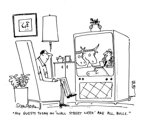 'My guests today on 'Wall Street Week' are all bulls.'