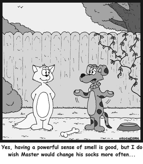 'Yes, having a powerful sense of small is good, but I do wish Master would change his socks more often...'