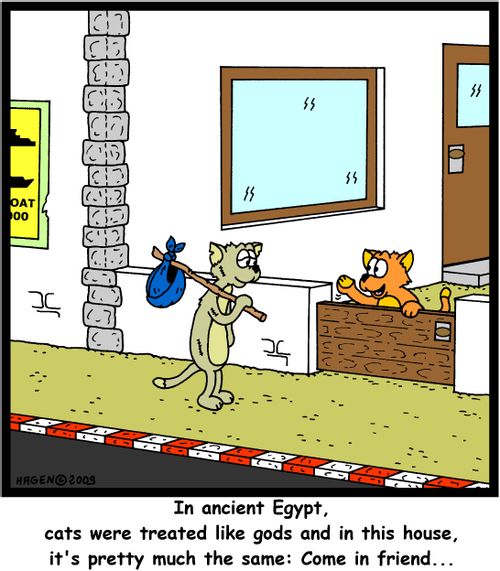 'In ancient Egypt, cats were treated like gods and in this house, it's pretty much the same: Come in friend...'