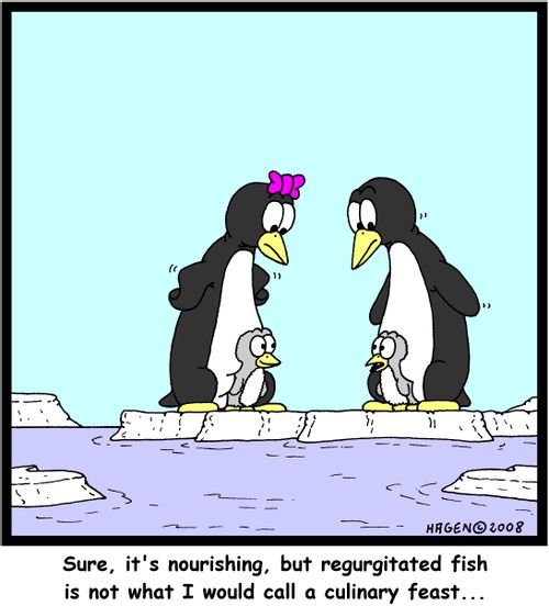 'Sure, it's nourishing, but regurgitated fish is not what I would call a culinary feast...'