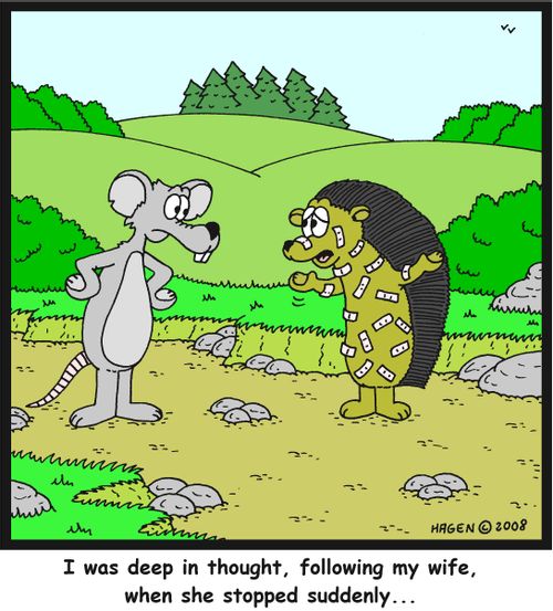 'I was deep in thought, following my wife, when she stopped suddenly...'