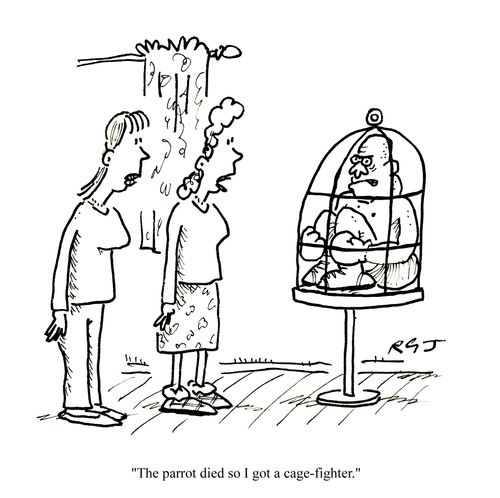 'The parrot died so I got a cage-fighter.'