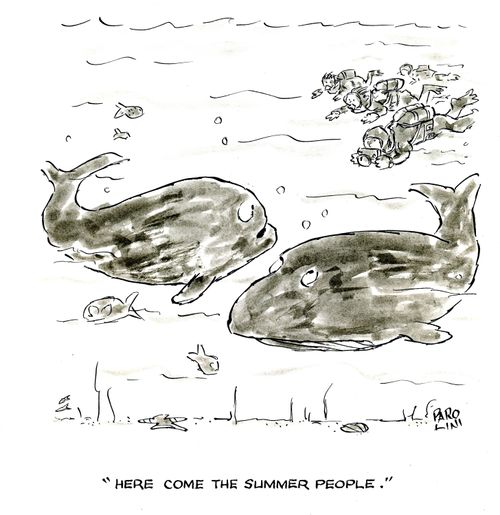 'Here come the slimmer people.'