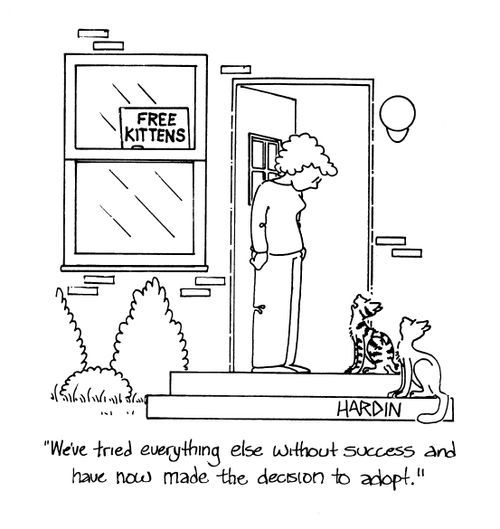 'We've tried everything else without success and have now made the decision to adopt.'
