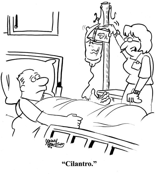 Nurse filling IV to patient: 'Cilantro.'
