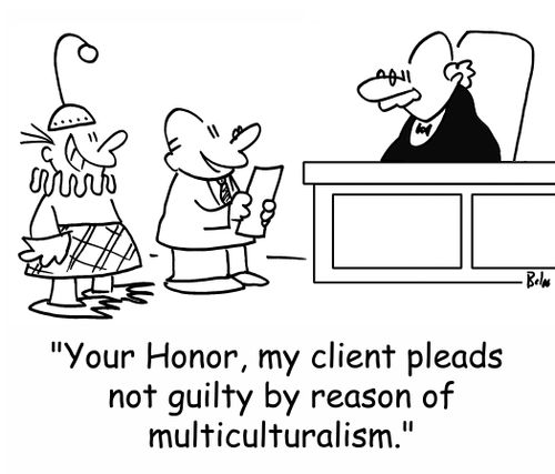'Your Honor, my client pleads not guilty by reason of multiculturalism.'