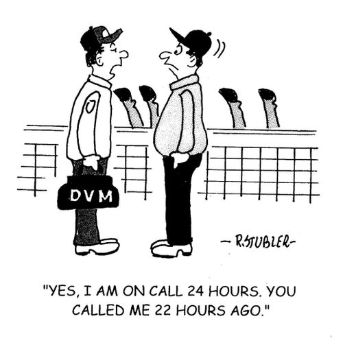 'Yes, I am on call 24 hours. You called me 22 hours ago.'