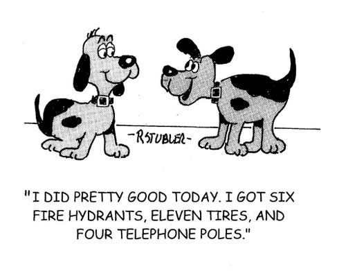 'I did pretty good today. I got six fire hydrants, eleven tires, and four telephone poles.'