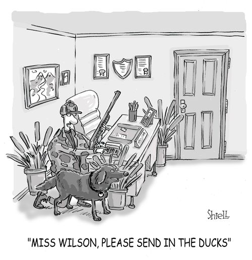 'Miss Wilson, please send in the ducks.'