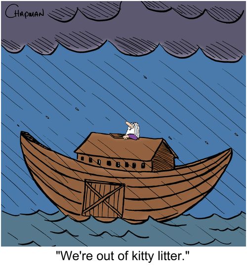 'We're out of kitty litter.'