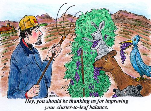 'Hey, you should be thanking us for improving your cluster-to-leaf balance.'