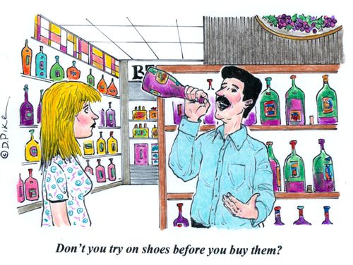 'Don't you try on shoes before you buy them?'