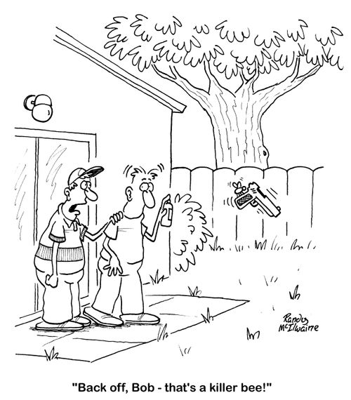 'Back off, Bob - that's a killer bee!'