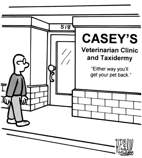 Casey's Veterinarian Clinic and Taxidermy 'Either way you'll get your pet back.'