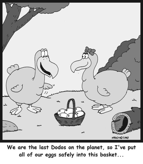 'We are the last Dodos on the planet, so I've put all of our eggs safely into this basket...'