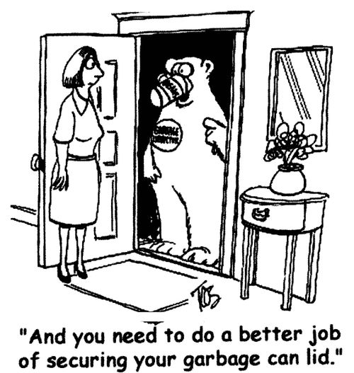'And you need to do a better job of securing your garbage can lid.'