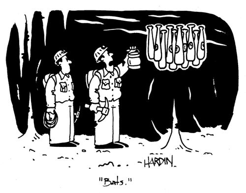 'Bats.' (Baseball bats in a cave).