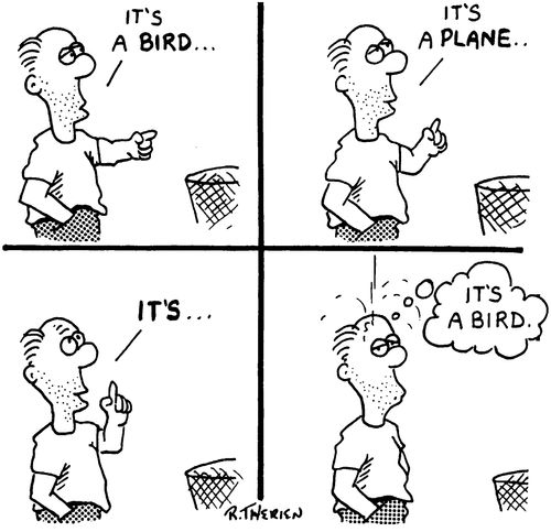 'It's a bird '/'It's a plane.'/'No, it's a bird.'