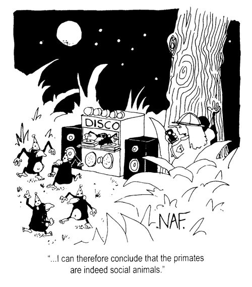 Monkeys at a disco - "I can therefore conclude that the primates are social animals."