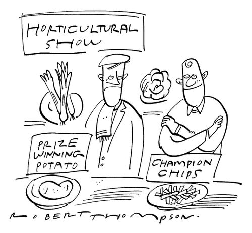 Prize Winning Potato - Champion Chips