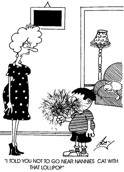 "I told you not to go near nannies cat with that lollipop"