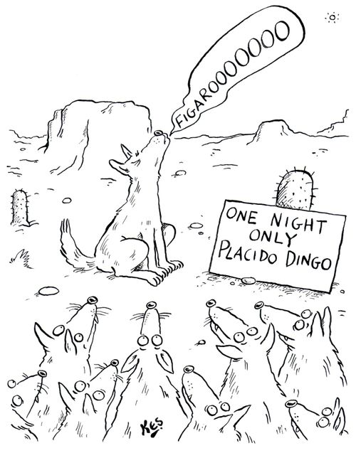 One night only Placido Dingo.