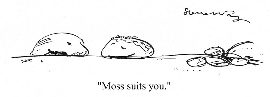 'Moss suits you.'