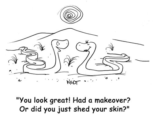 'You look great! Had a makeover? Or did you just shed your skin?'