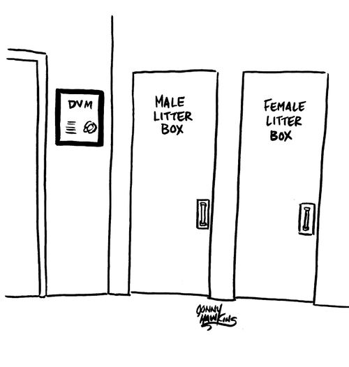 Two bathroom doors at Vet's office -they read 'male litter box' and 'female litter box'.