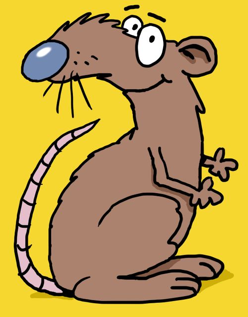 Smiling rat.