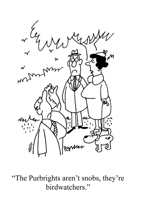 'The Purbrights aren't snobs, they're birdwatchers.'