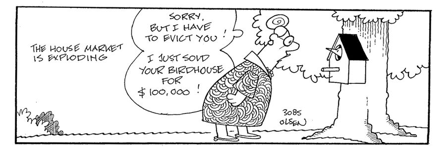 'Sorry, but I have to evict you! I just sold your birdhouse for $ 100.000!'