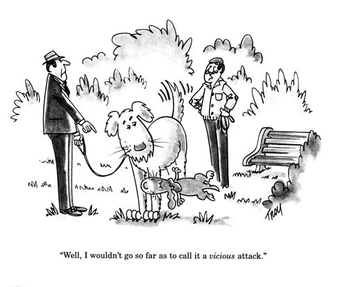 'Well, I wouldn't go so far as to call it a vicious attack.'