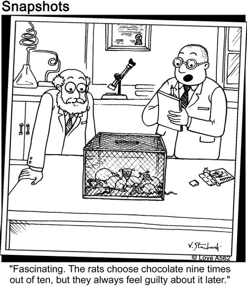 "Fascinating. The rats choose chocolate nine times out of ten, but they always feel guilty about it later."