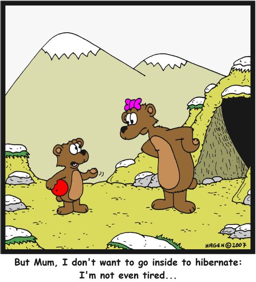 'But Mum, I don't want to go inside to hibernate: I'm not even tired...'